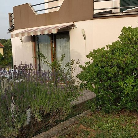 Apartment Lavinia Zadar Dış mekan fotoğraf