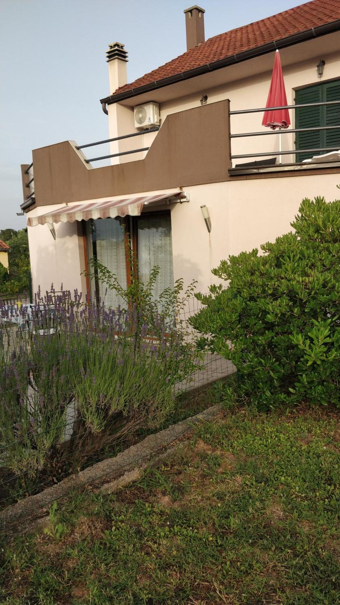 Apartment Lavinia Zadar Dış mekan fotoğraf
