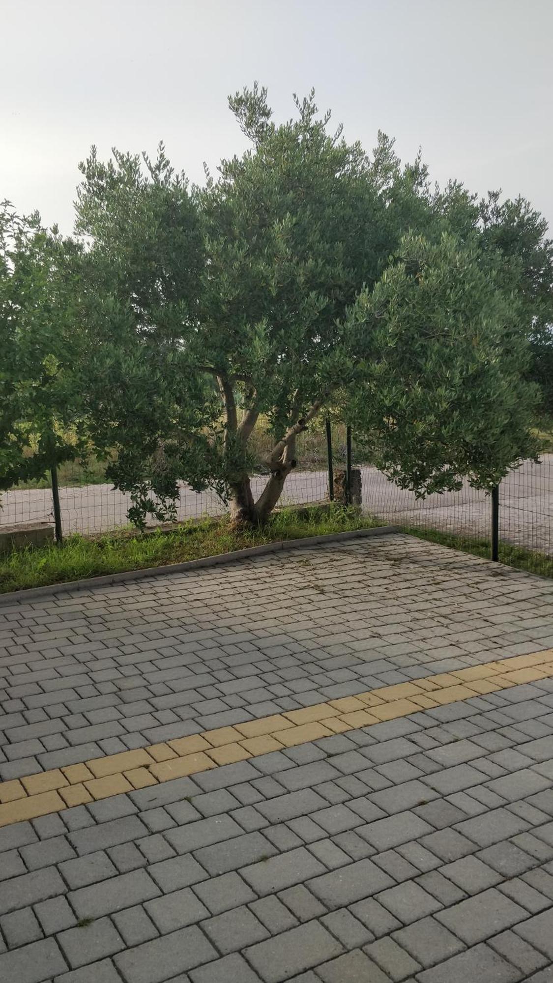 Apartment Lavinia Zadar Dış mekan fotoğraf